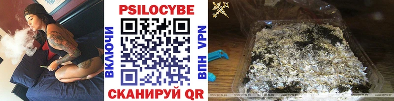 Купить где  Вяземский  Псилоцибиновые грибы GOLDEN TEACHER 